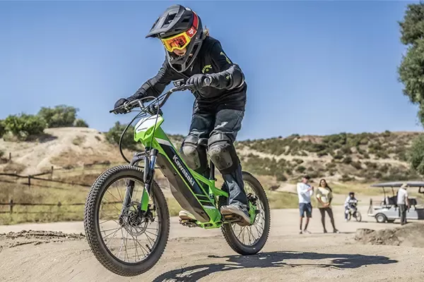 2025 KAWASAKI ELEKTRODE 20