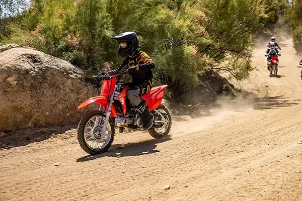 Honda CRF110F